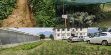 KVK Kupwara Develops Model Farm with Natural Farmingand Integrated Agriculture Units