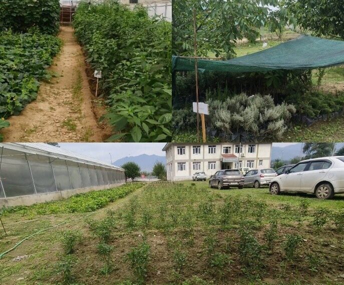 KVK Kupwara Develops Model Farm with Natural Farmingand Integrated Agriculture Units