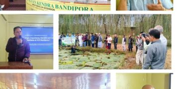 KVK Bandipora-1 hosts First Training Prog on Makhana Cultivation