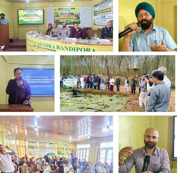KVK Bandipora-1 hosts First Training Prog on Makhana Cultivation