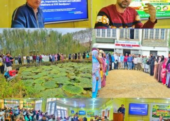 KVK Bandipora Holds Makhana Training Session
