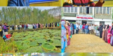 KVK Bandipora Holds Makhana Training Session
