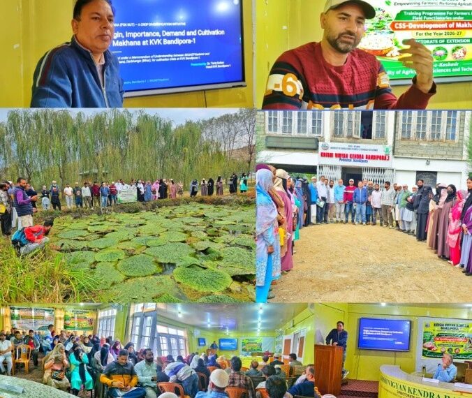 KVK Bandipora Holds Makhana Training Session