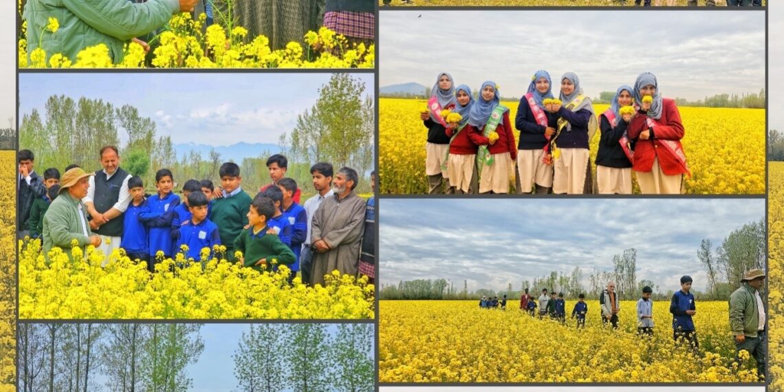 KVK Bandipora conducts Field Day on Oilseeds under CFLD