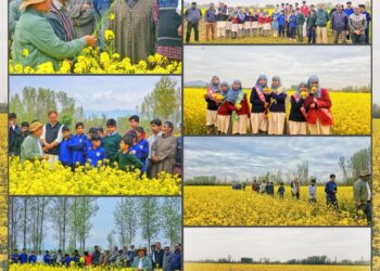KVK Bandipora conducts Field Day on Oilseeds under CFLD