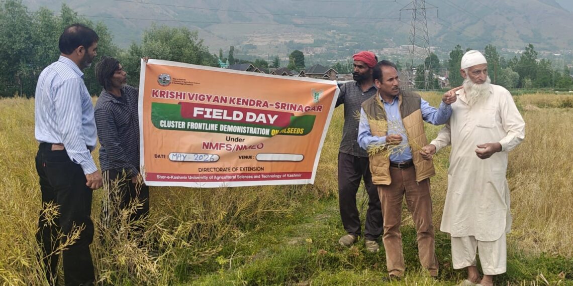 KVK Srinagar Strengthens “Yellow Revolution” Through CFLDs on Oilseeds Under Krishonnati Yojana