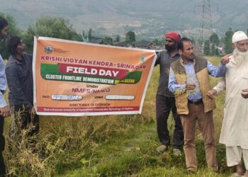 KVK Srinagar Strengthens “Yellow Revolution” Through CFLDs on Oilseeds Under Krishonnati Yojana
