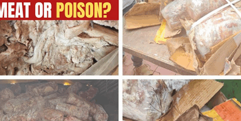 Over 150 Kgs of Rotten Meat Seized in G’bal, Kangan During Food Safety Drive