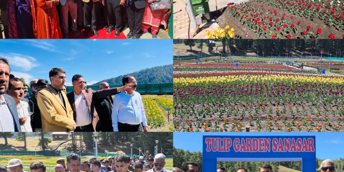 MLA Ramban inaugurates Sanasar Tulip Garden