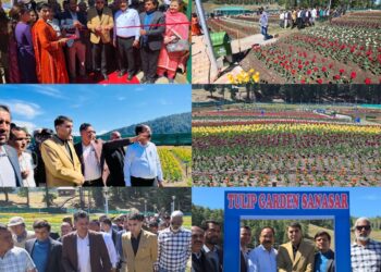 MLA Ramban inaugurates Sanasar Tulip Garden