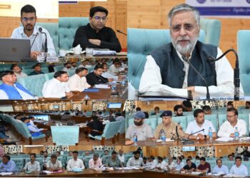 MP Mian Altaf chairs DISHA review meeting at Kulgam