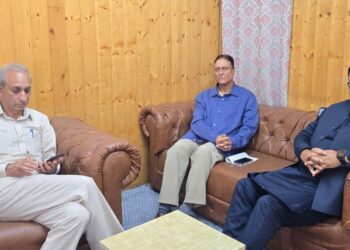 MP, MLAs call on Minister Javed Rana; raise public issues