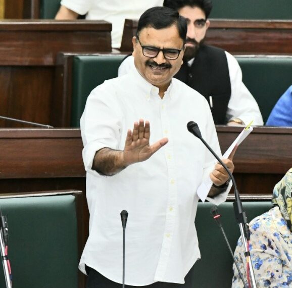 Multi-pronged strategy in place to mitigate porcupine threat to saffron fields: Govt