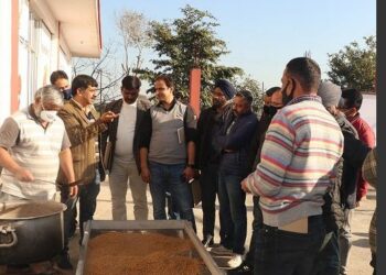 Mushroom Cultivation: Training prog on Quality Spawn Production held at SKUAST-J