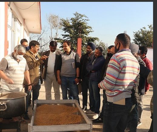 Mushroom Cultivation: Training prog on Quality Spawn Production held at SKUAST-J