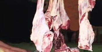 Kashmir mutton dealers call off strike after Punjab Govt order but still not fully satisfied