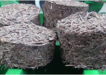 Nowshera Forest Divn installs Chir Pine Briquette making machine at Bhajwal