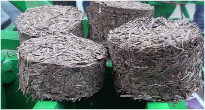 Nowshera Forest Divn installs Chir Pine Briquette making machine at Bhajwal
