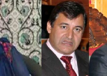 Govt allocates distts to 5 cabinet ministers to improve public services