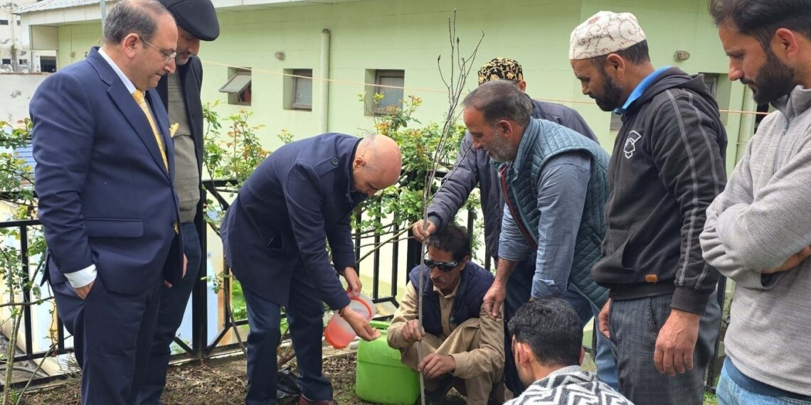 Flower plantation drive launched in DC Office Complex Kishtwar