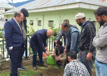 Flower plantation drive launched in DC Office Complex Kishtwar