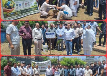 Plantation drives, promotional events mark World Env Day celebration across Jammu Divn