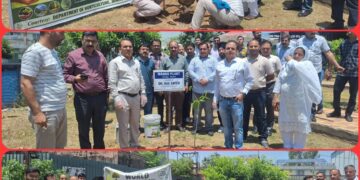 Plantation drives, promotional events mark World Env Day celebration across Jammu Divn