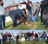 Plantation drive kick-started at Sofanaman, Shopian