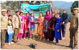 Series of plantation drives conducted in Sunderbani Forest Range