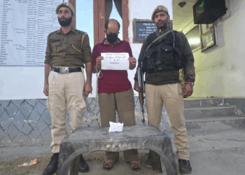 Drug Peddler Arrested With Charas Powder In Shopian: Police