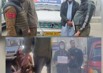 Two Theft Cases solved in Awantipora, Two Arrested, Property Recovered: Police