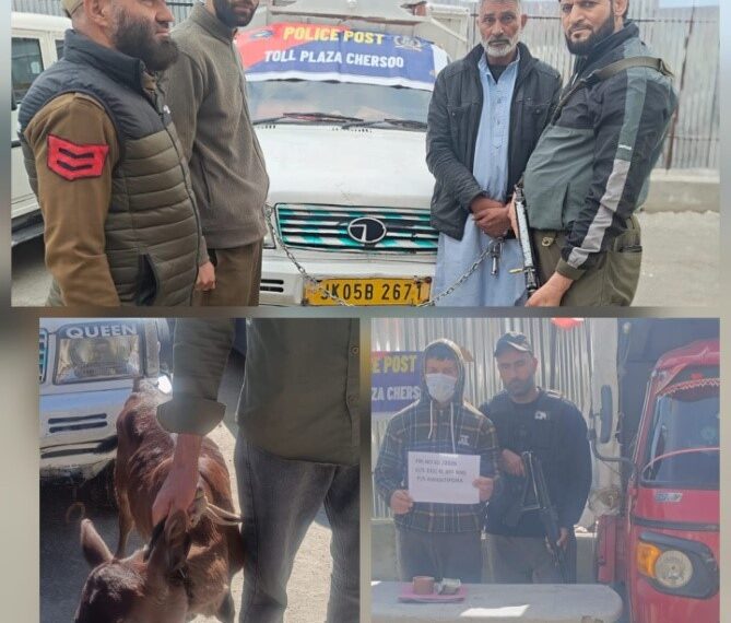 Two Theft Cases solved in Awantipora, Two Arrested, Property Recovered: Police