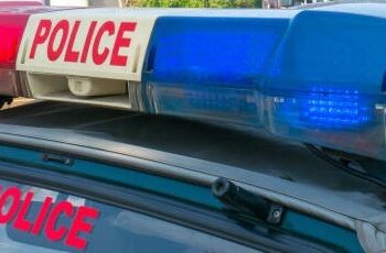 Police Intensify Anti-Drug Drive in Baramulla, Wild Cannabis Destroyed