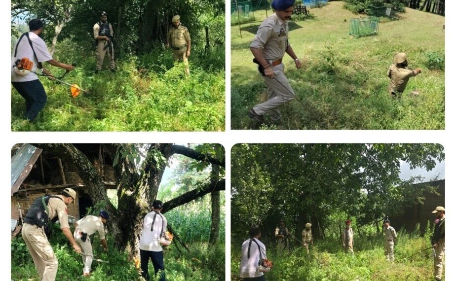 Police Intensify Drive Against Wild Bhang in Baramulla; Plants Destroyed at Gohan