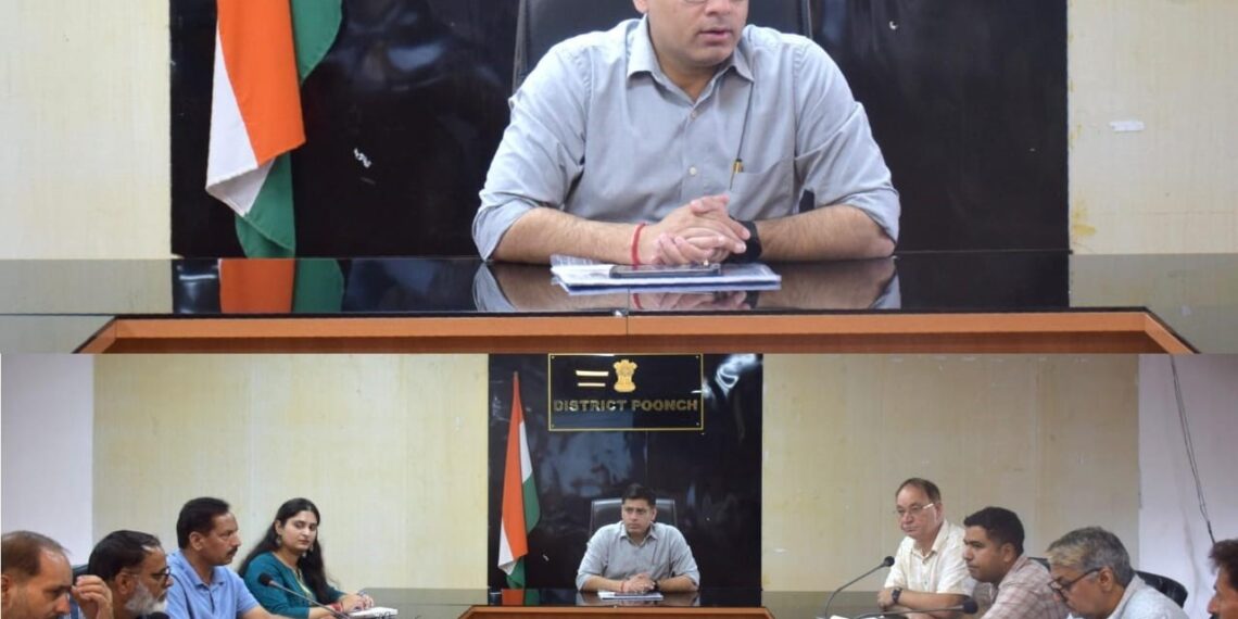 DC Poonch reviews PM Surya Ghar Muft Bijli Yojana implementation