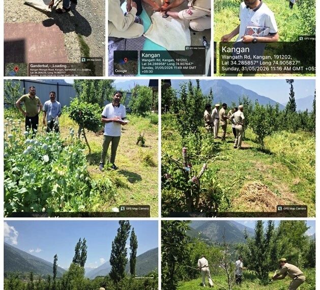 Central Kashmir Excise Range destroys Poppy cultivation at multiple locations