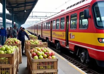 Fruit Growers Urged to Use Rail Parcel Services