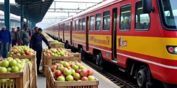 Fruit Growers Urged to Use Rail Parcel Services