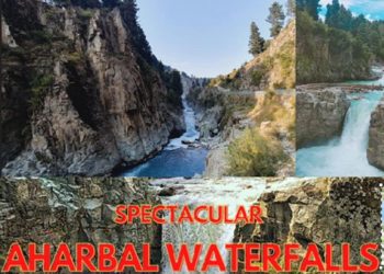 229,000 record attendance At Aharbal Waterfall: Heat wave Changes Tracks Of Tourists In Valley