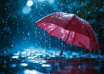Heavy rainfall lashes Jammu Division; MeT predicts more showers from Aug 11