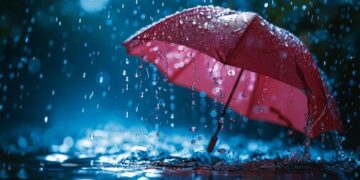 Heavy rainfall lashes Jammu Division; MeT predicts more showers from Aug 11