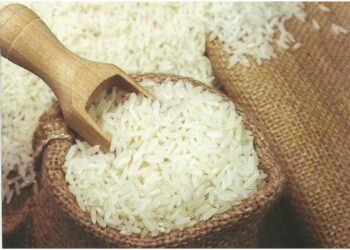 COVID-19 lockdown: 11.50 lakh quintal ration provided to 1.19 Cr beneficiaries in 2 months