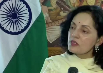 ‘Frozen’ UNSC in danger of becoming more non-functional: India