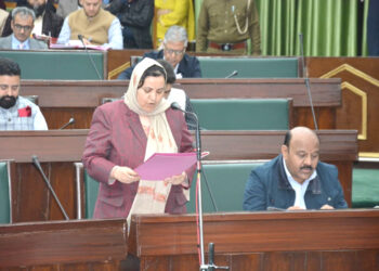 Over 140 kanal land retrieved in Bahu, Jammu- South Tehsils in 1 year: Govt