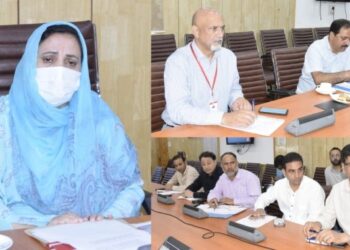 Sakeena Itoo reviews developmental scenario of DH Pora Constituency