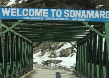 Police Detain 11 for Operating Without Authorisation in Sonamarg