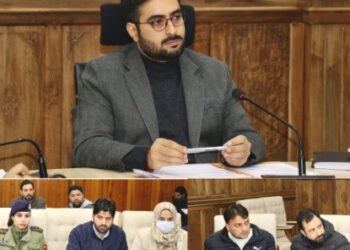 DC Srinagar chairs District Telecom Committee Meet, Reviews development of telecom infra under JKCCIP