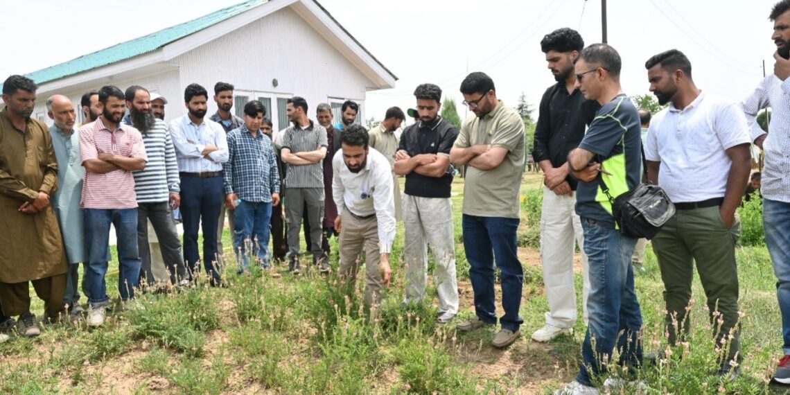 Sheep & Goat Breeders from Baramulla participate in Exposure Visit to IGFRI Srinagar