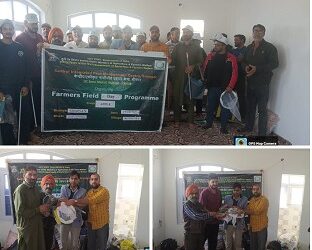 CIPMC Srinagar holds Farmers Field Day at Reshipora, Shopian
