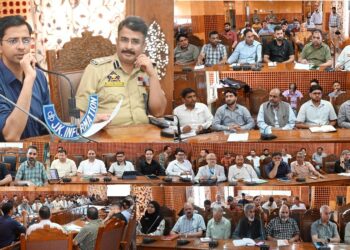 DC Srinagar reviews Block-wise status of development of playfields in every Panchayat
